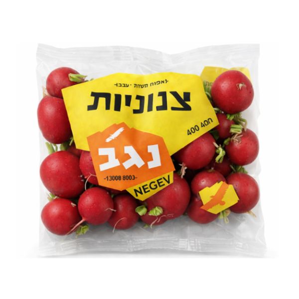 צנוניות